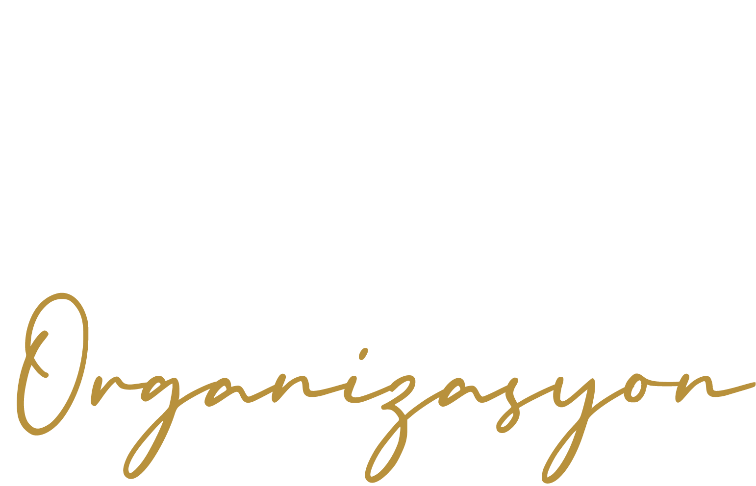 Moz Organizasyon